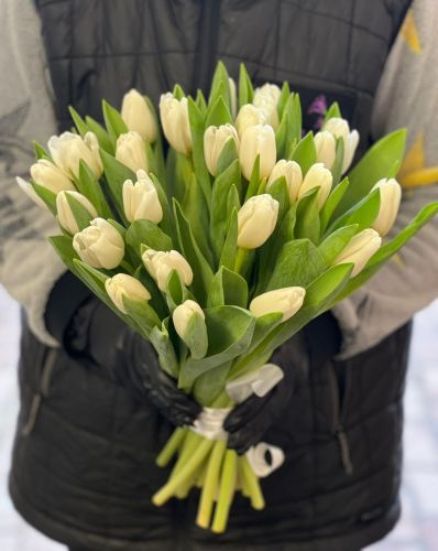 Букет белых тюльпанов "Силбер" заказать и купить в интернет-магазине с доставкой по Андреаполю